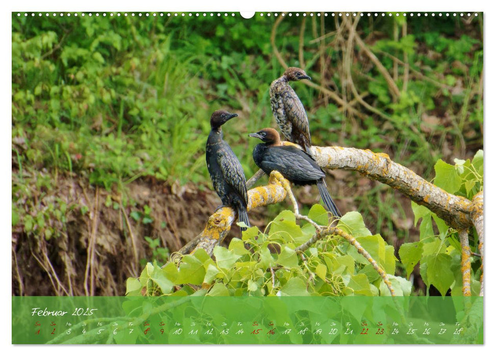 Wilde Toskana - von René Schaack (CALVENDO Premium Wandkalender 2025)