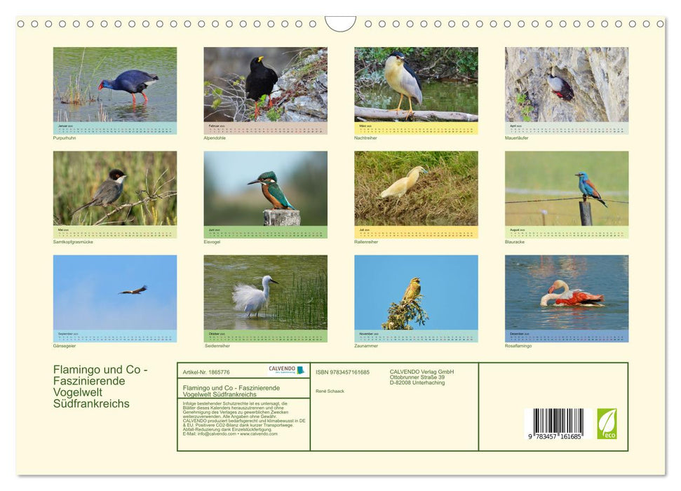 Flamingo und Co - Faszinierende Vogelwelt Südfrankreichs (CALVENDO Wandkalender 2025)