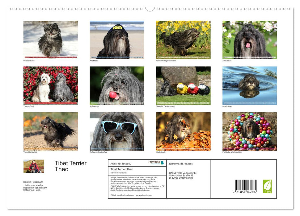 Tibet Terrier Theo (CALVENDO Premium Wandkalender 2025)