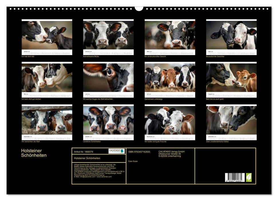 Holsteiner Schönheiten (CALVENDO Wandkalender 2025)