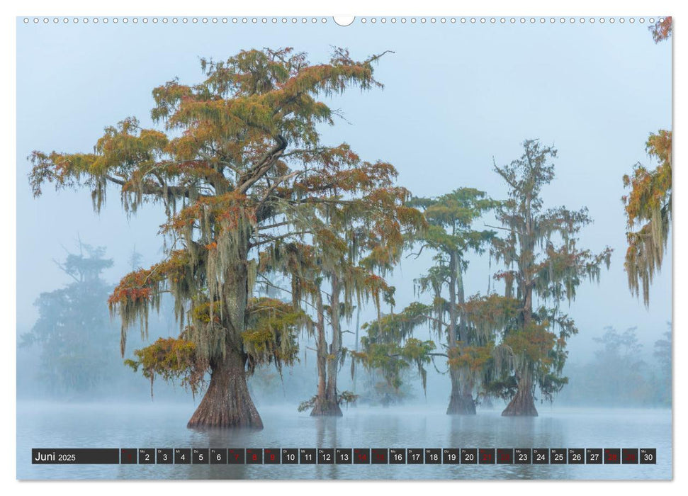 Natur Paradies Mississippi Delta (CALVENDO Wandkalender 2025)