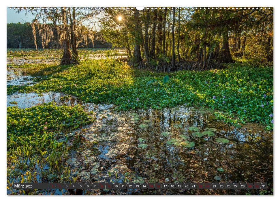 Natur Paradies Mississippi Delta (CALVENDO Premium Wandkalender 2025)