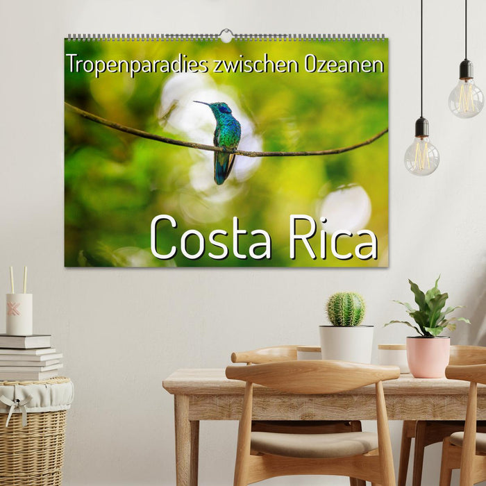 Tropenparadies zwischen Ozeanen Costa Rica (CALVENDO Wandkalender 2025)