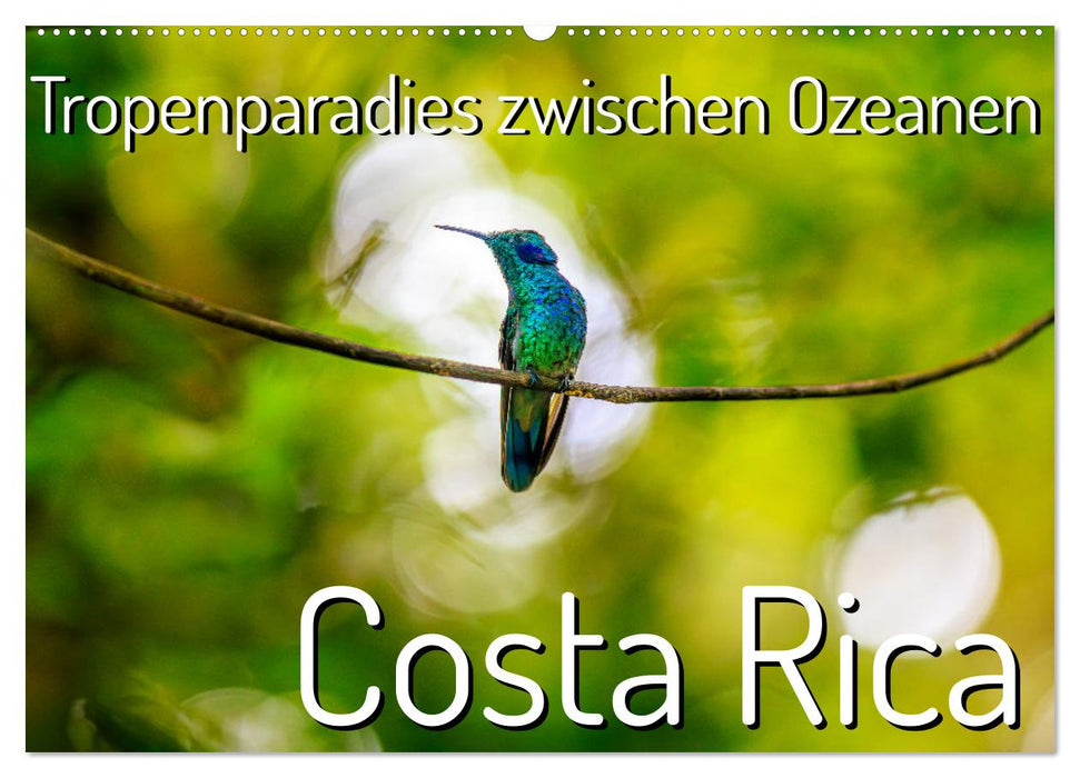 Tropenparadies zwischen Ozeanen Costa Rica (CALVENDO Wandkalender 2025)