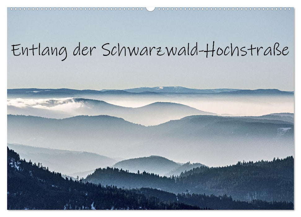 Entlang der Schwarzwald-Hochstraße (CALVENDO Wandkalender 2025)