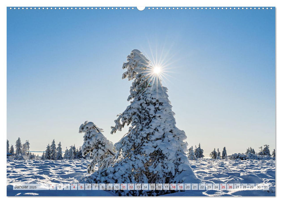 Entlang der Schwarzwald-Hochstraße (CALVENDO Wandkalender 2025)