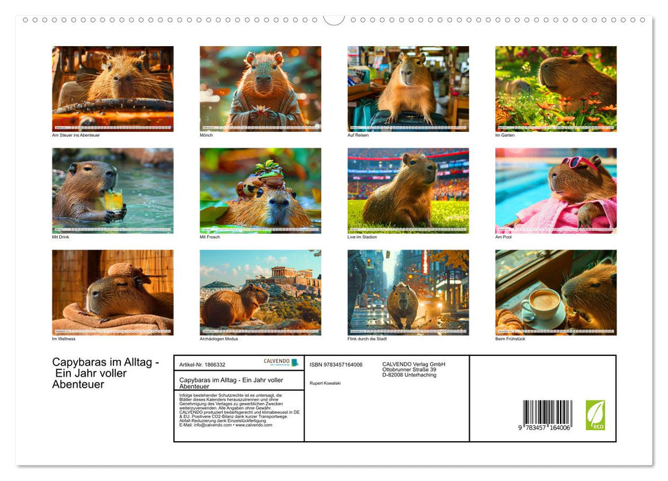 Capybaras im Alltag - Ein Jahr voller Abenteuer (CALVENDO Premium Wandkalender 2025)