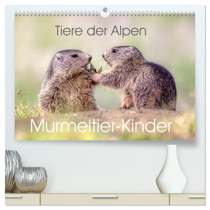 Tiere der Alpen - Murmeltier-Kinder (CALVENDO Premium Wandkalender 2025)