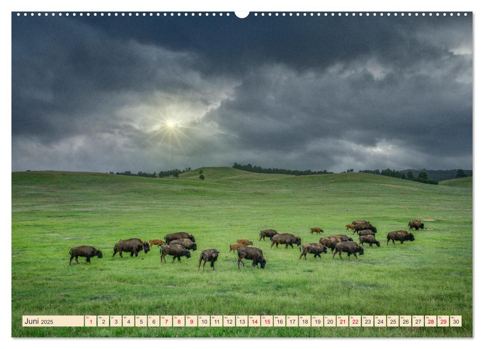 Sioux Im Lande von Sitting Bull (CALVENDO Wandkalender 2025)