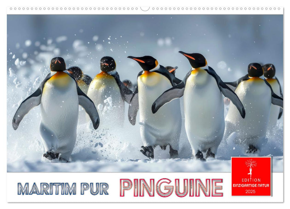 Maritim pur - Pinguine (CALVENDO Wandkalender 2025)