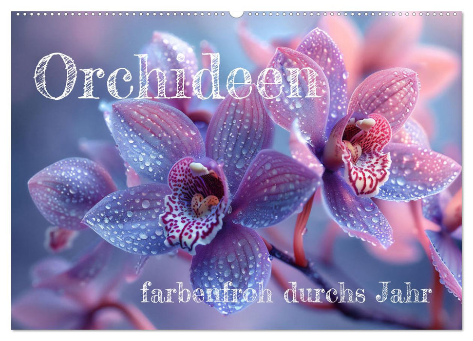 Orchideen - farbenfroh durchs Jahr (CALVENDO Wandkalender 2025)
