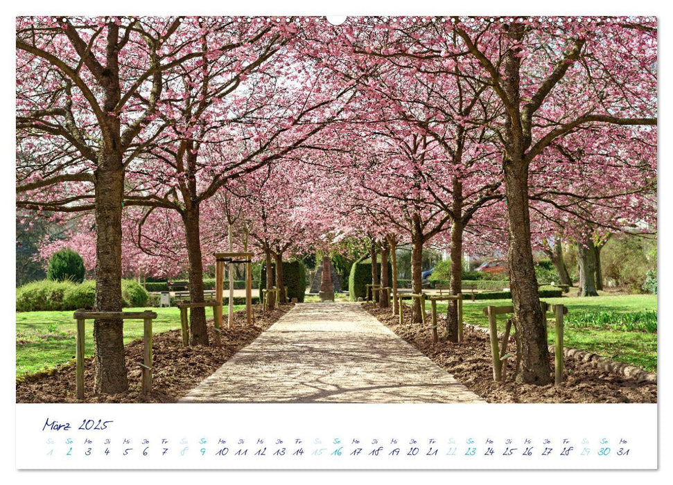 Traumschöner Taunus (CALVENDO Wandkalender 2025)