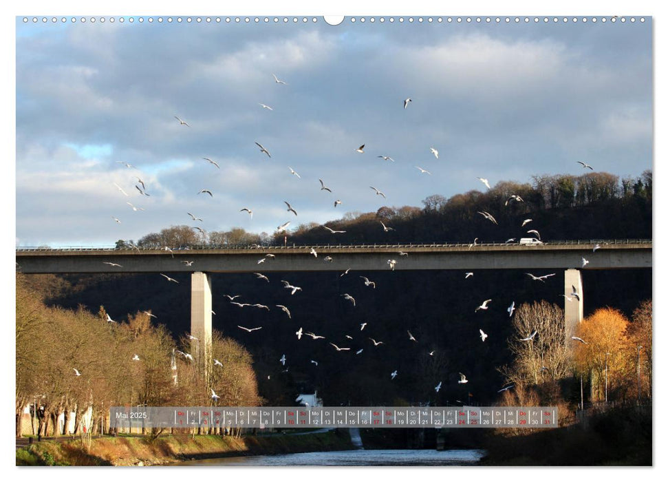 Lahnstein, wo die Lahn in den Rhein fließt (CALVENDO Premium Wandkalender 2025)