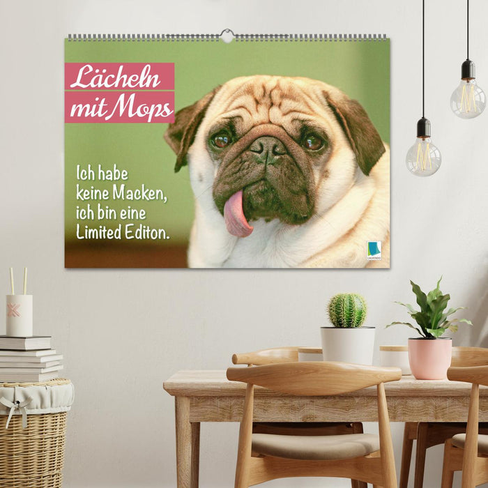 Lächeln mit Mops (CALVENDO Wandkalender 2025)