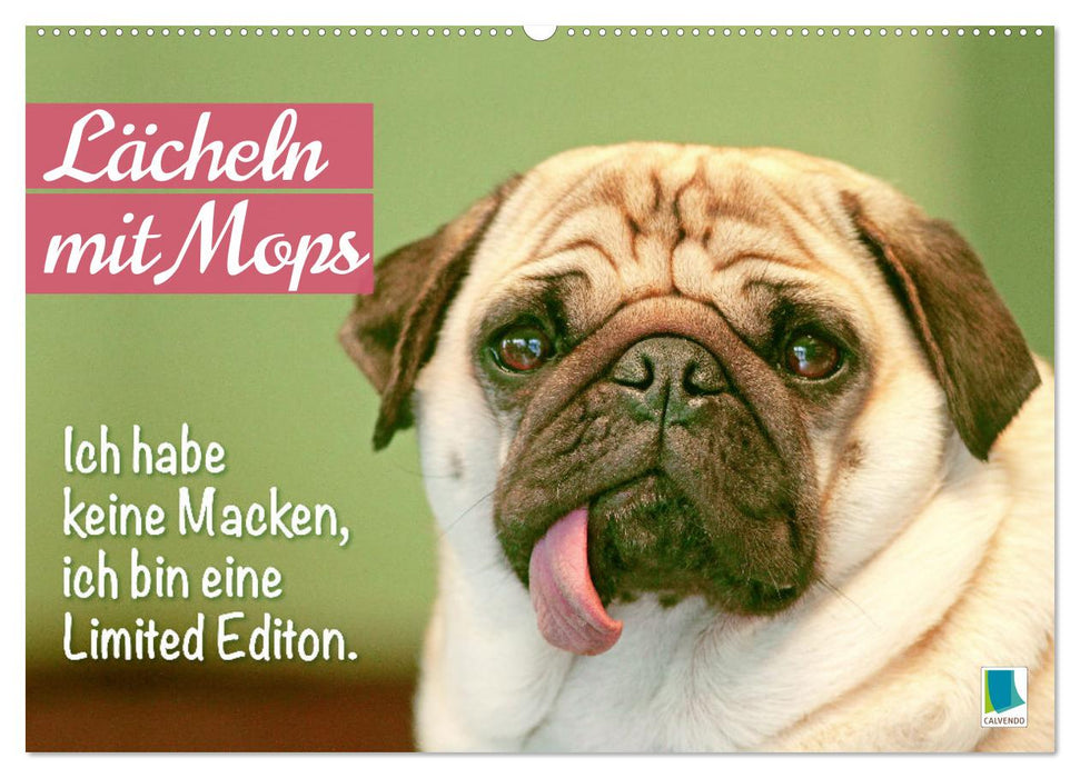 Lächeln mit Mops (CALVENDO Wandkalender 2025)