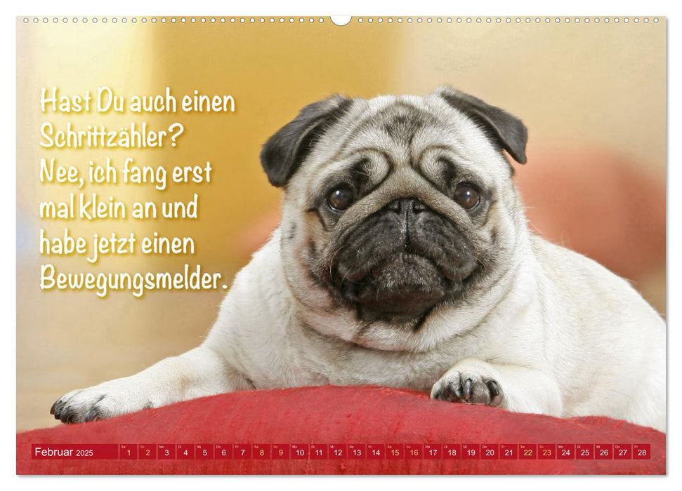 Lächeln mit Mops (CALVENDO Wandkalender 2025)