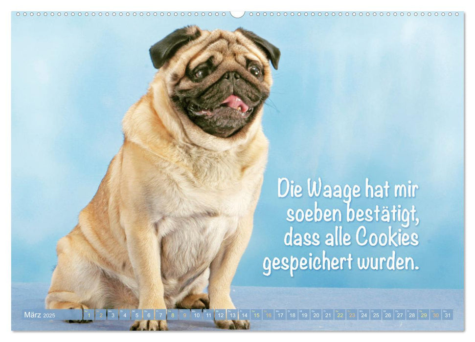 Lächeln mit Mops (CALVENDO Wandkalender 2025)