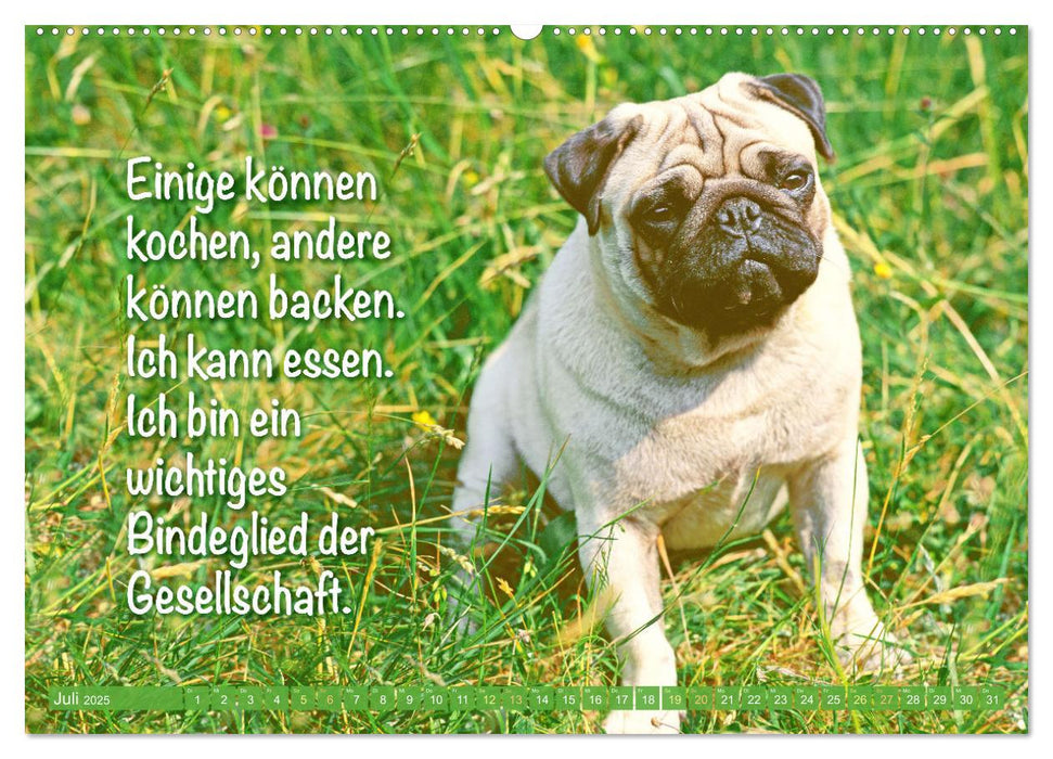 Lächeln mit Mops (CALVENDO Premium Wandkalender 2025)