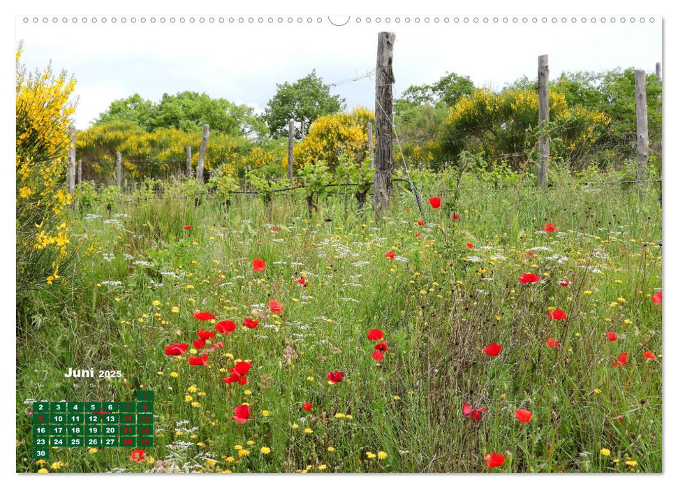 Herrliches Arno Tal - Wanderurlaub in der Toskana (CALVENDO Premium Wandkalender 2025)