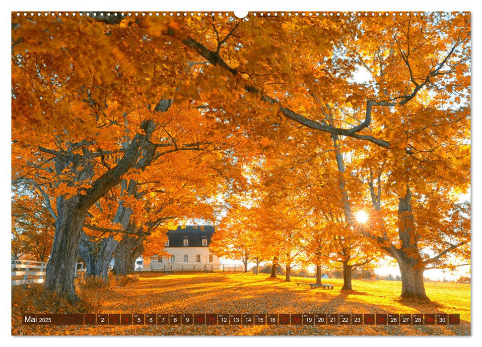 Neu England, Indian Summer (CALVENDO Premium Wandkalender 2025)