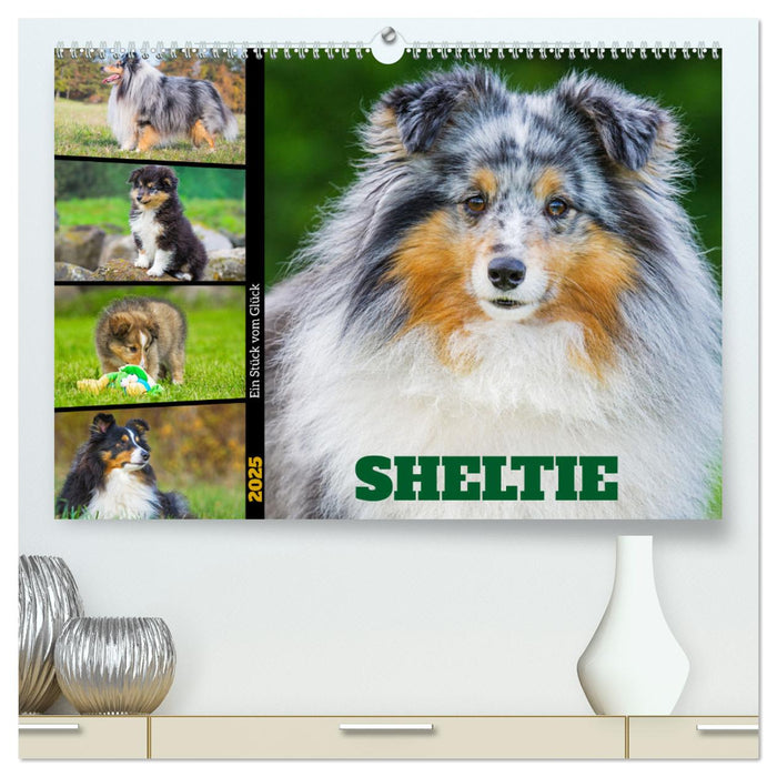Sheltie - Ein Stück vom Glück (CALVENDO Premium Wandkalender 2025)