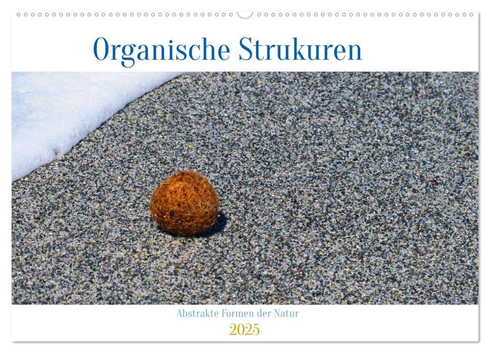 organische Strukturen Abstrakte Formen der Natur (CALVENDO Wandkalender 2025)