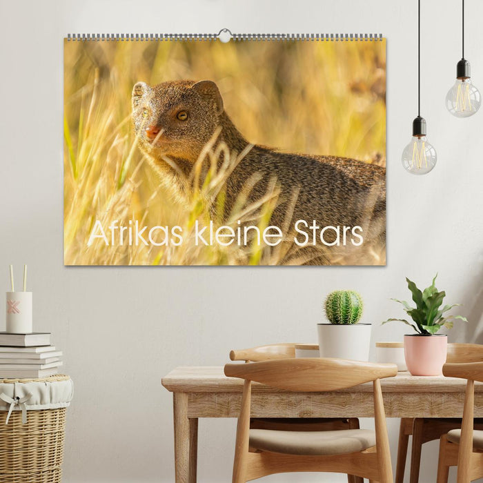 Afrikas kleine Stars (CALVENDO Wandkalender 2025)