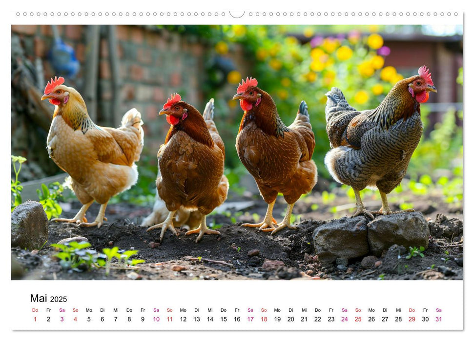 Hühner Federvieh (CALVENDO Wandkalender 2025)