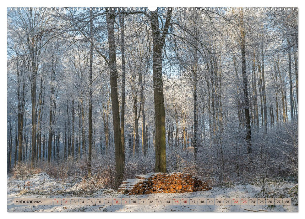 Impressionen aus Mecklenburg - Vorpommern (CALVENDO Wandkalender 2025)