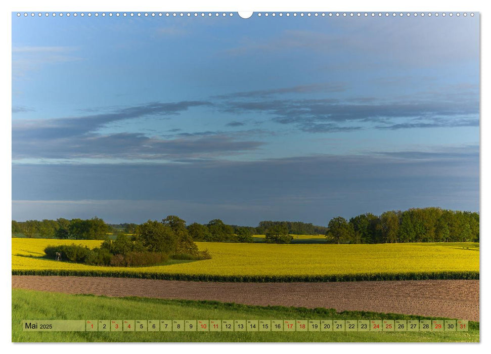 Impressionen aus Mecklenburg - Vorpommern (CALVENDO Wandkalender 2025)