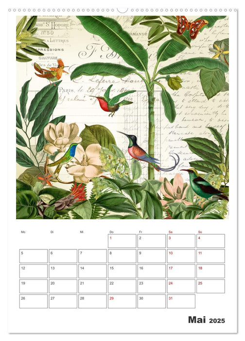 Das Paradies der Kolibris (CALVENDO Wandkalender 2025)