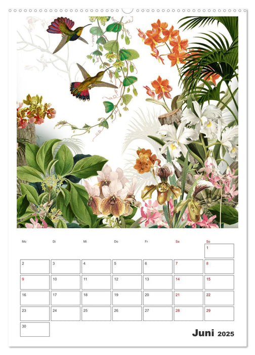 Das Paradies der Kolibris (CALVENDO Wandkalender 2025)