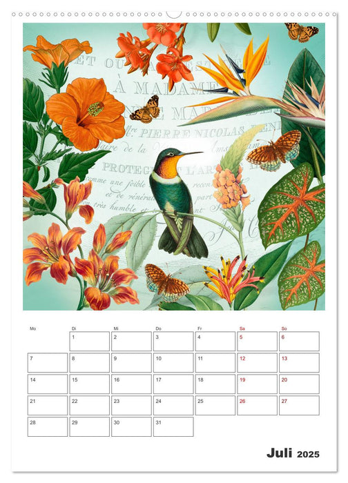 Das Paradies der Kolibris (CALVENDO Premium Wandkalender 2025)