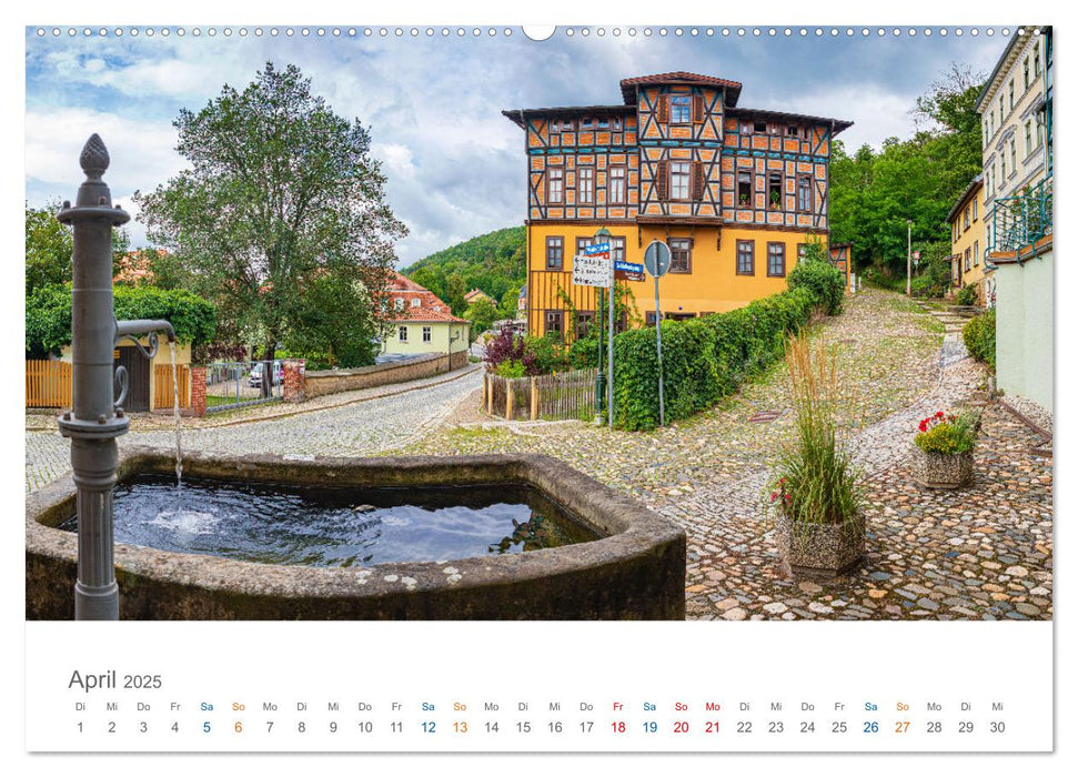 Rudolstadt - im Tal der Saale (CALVENDO Wandkalender 2025)