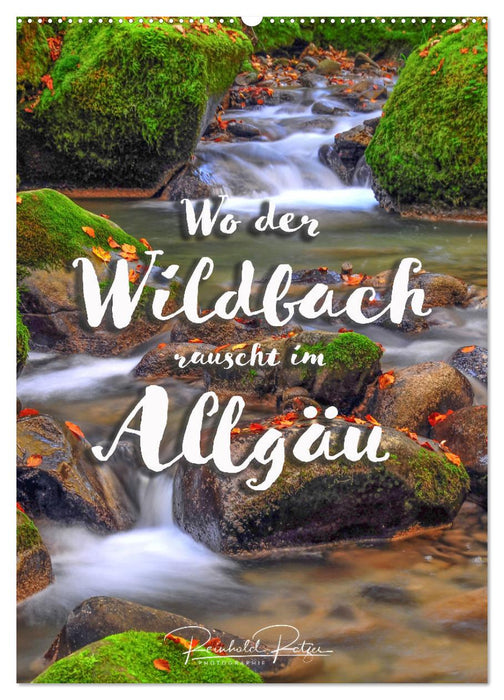 Wo der Wildbach rauscht im Allgäu (CALVENDO Wandkalender 2025)