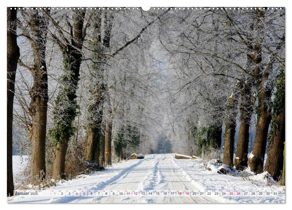 Idyllische Wanderwege im Bergischen Land (CALVENDO Premium Wandkalender 2025)