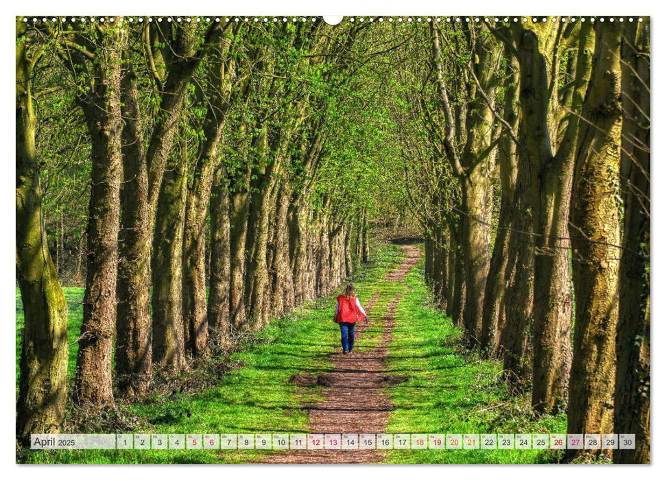 Idyllische Wanderwege im Bergischen Land (CALVENDO Premium Wandkalender 2025)