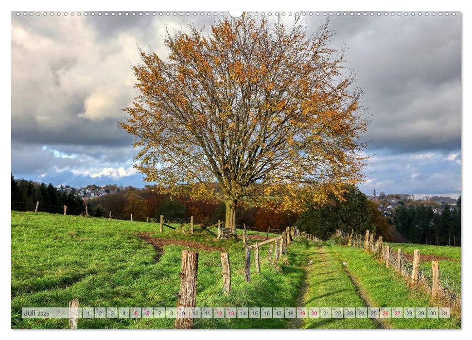 Idyllische Wanderwege im Bergischen Land (CALVENDO Premium Wandkalender 2025)