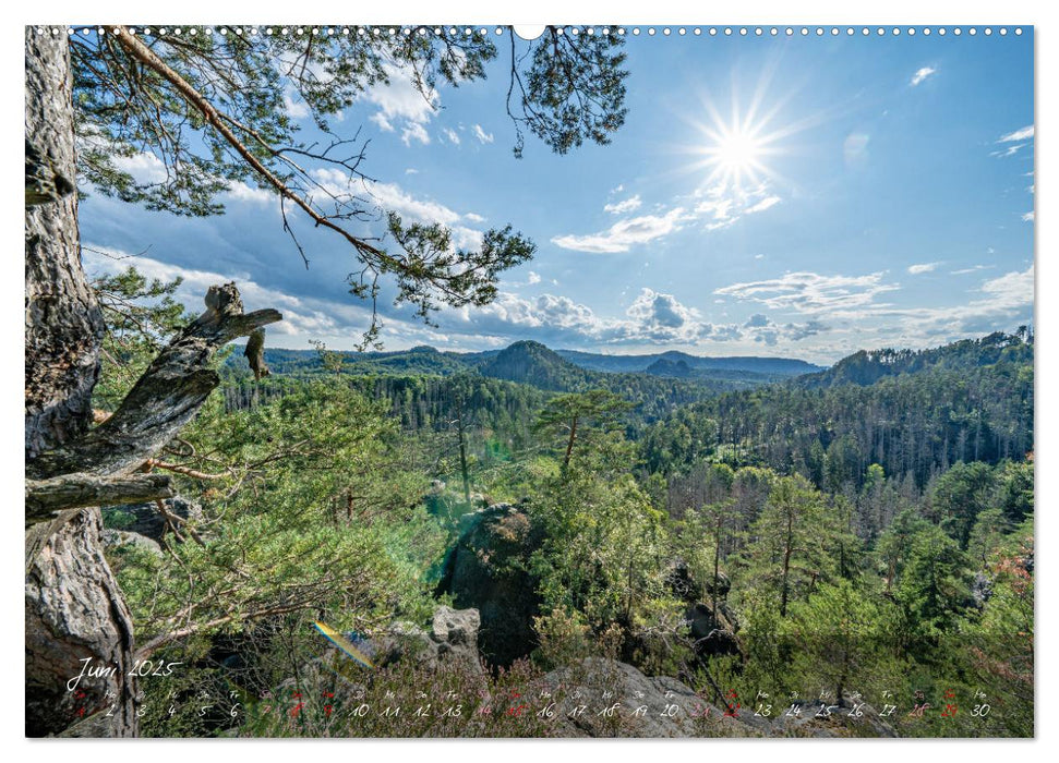 Landschaften der Sächsischen Schweiz (CALVENDO Premium Wandkalender 2025)