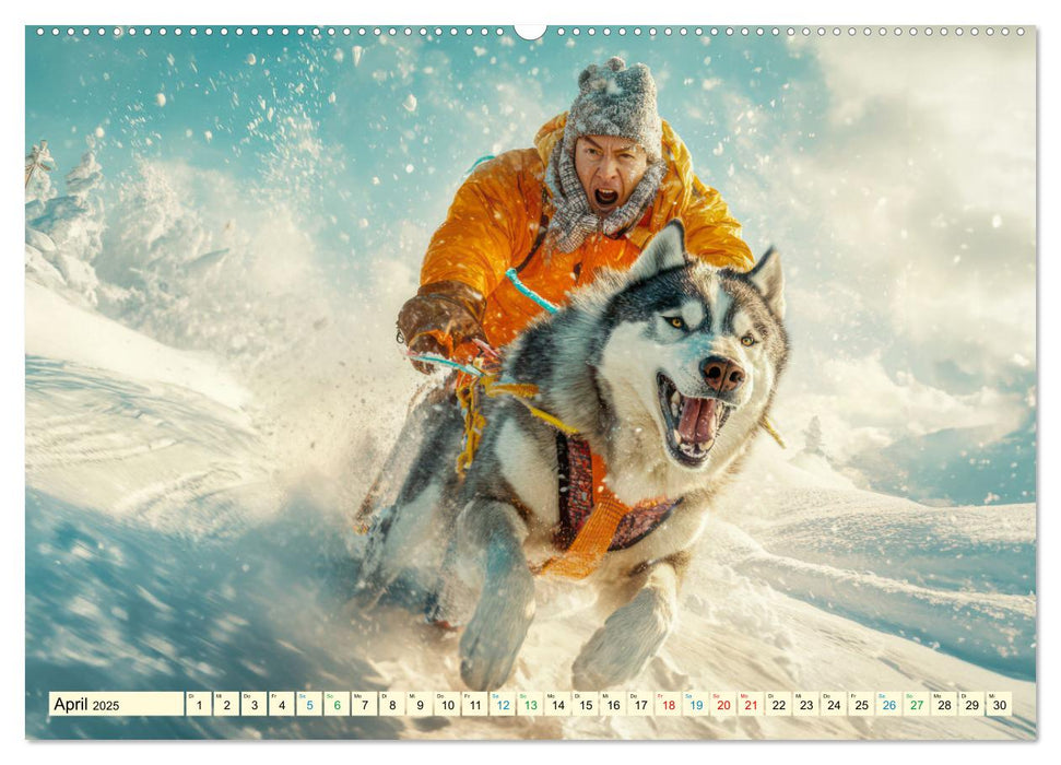 Huskies - Kraft und Anmut (CALVENDO Premium Wandkalender 2025)