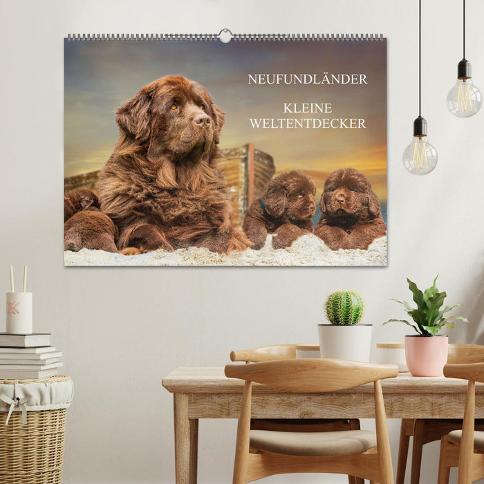 Neufundländer - Kleine Weltentdecker (CALVENDO Wandkalender 2025)