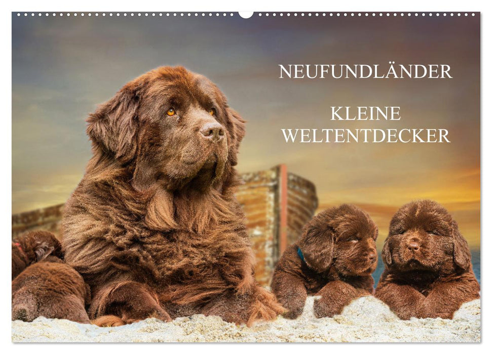 Neufundländer - Kleine Weltentdecker (CALVENDO Wandkalender 2025)