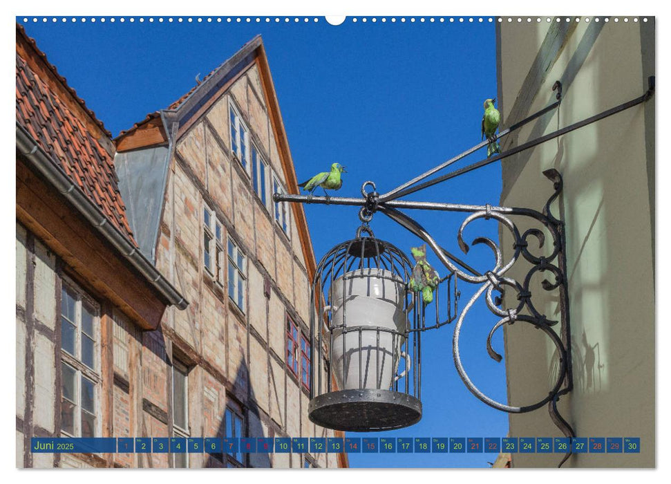 Quedlinburg ganz nah - Welterbestadt im Harz (CALVENDO Premium Wandkalender 2025)