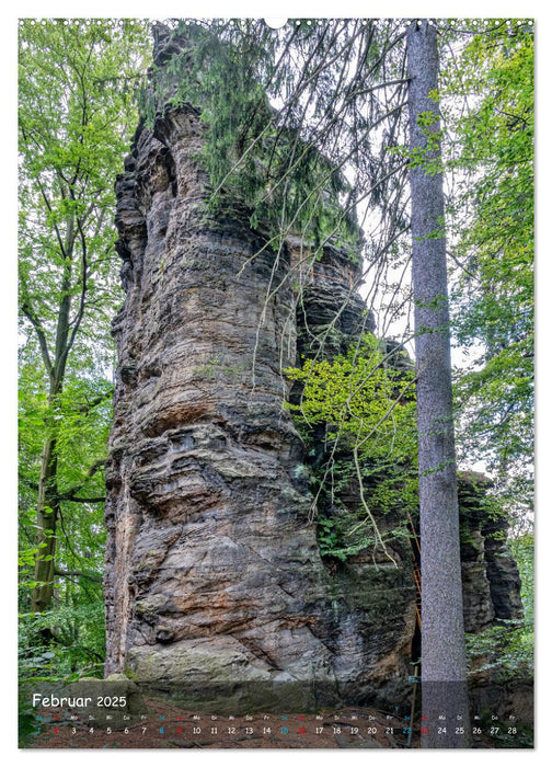 Höhepunkte der Sächsischen Schweiz (CALVENDO Premium Wandkalender 2025)