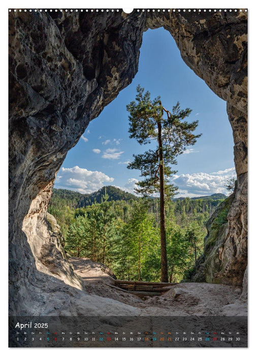 Höhepunkte der Sächsischen Schweiz (CALVENDO Premium Wandkalender 2025)