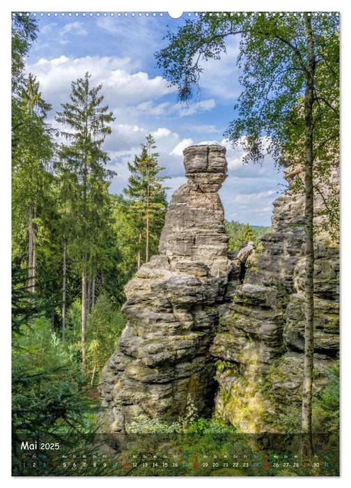 Höhepunkte der Sächsischen Schweiz (CALVENDO Premium Wandkalender 2025)