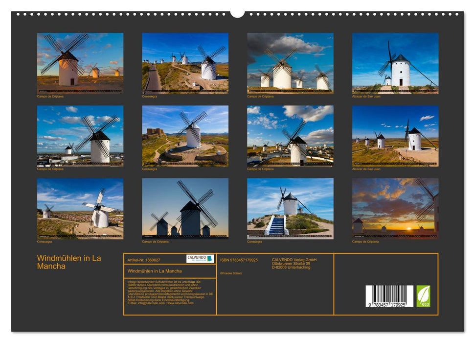 Windmühlen in La Mancha (CALVENDO Premium Wandkalender 2025)