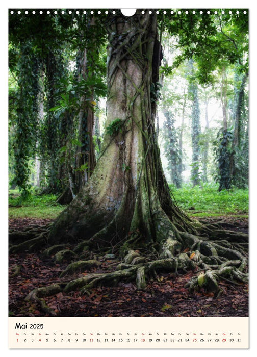 Weltreise Natur - Impressionen rund um den Globus (CALVENDO Wandkalender 2025)