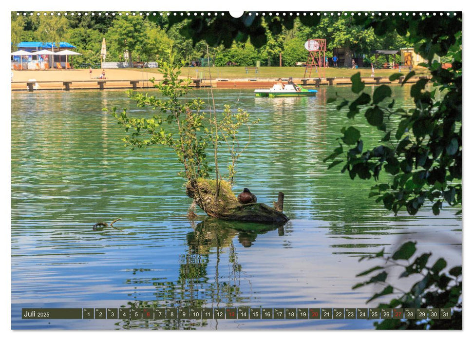 Weißwasser - Phoenix aus Glas und Kohle (CALVENDO Premium Wandkalender 2025)