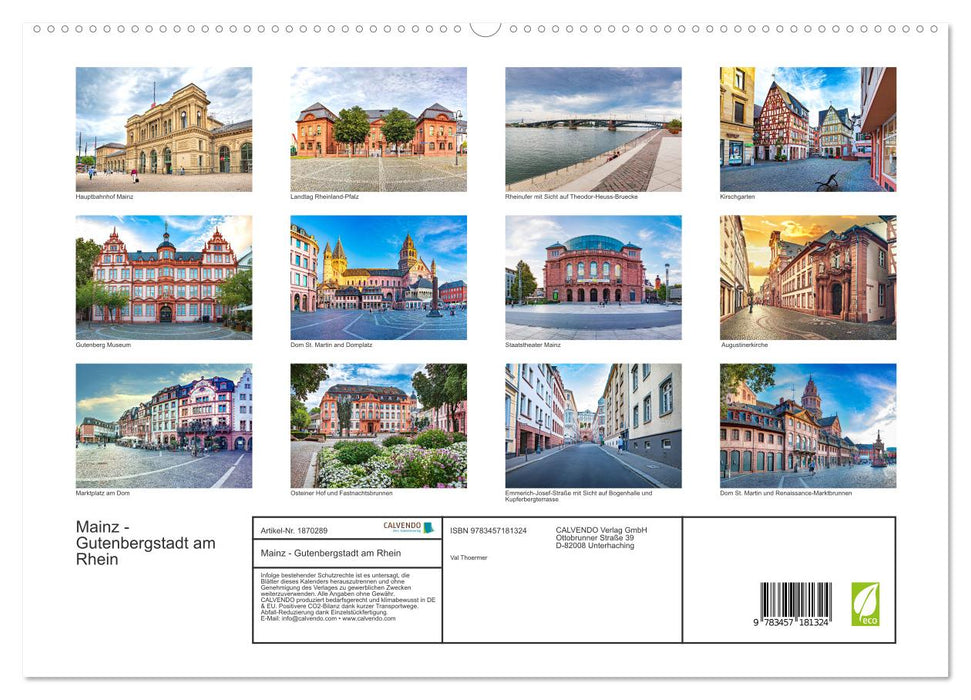 Mainz - Gutenbergstadt am Rhein (CALVENDO Premium Wandkalender 2025)